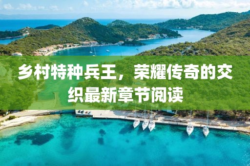 乡村特种兵王，荣耀传奇的交织最新章节阅读