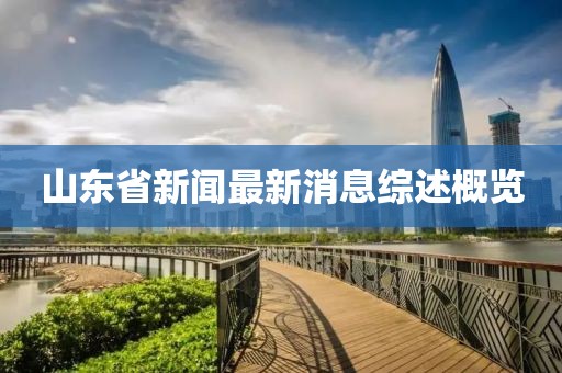 山东省新闻最新消息综述概览