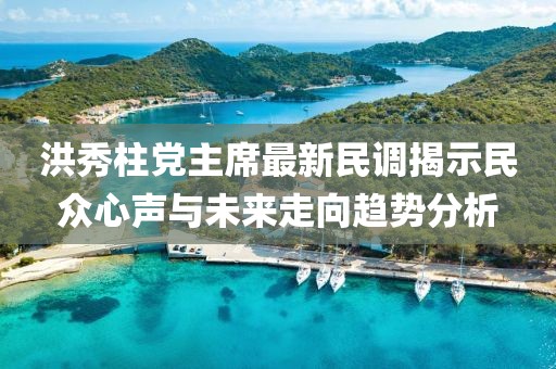 洪秀柱党主席最新民调揭示民众心声与未来走向趋势分析
