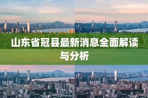 山东省冠县最新消息全面解读与分析