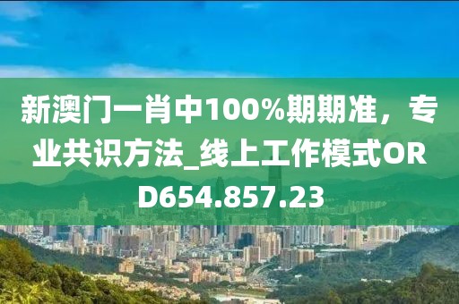 新澳门一肖中100%期期准，专业共识方法_线上工作模式ORD654.857.23