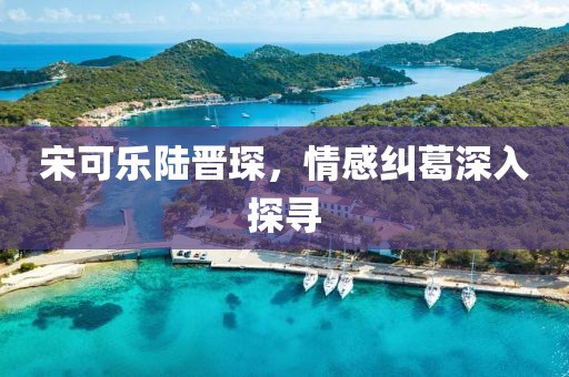 宋可乐陆晋琛，情感纠葛深入探寻