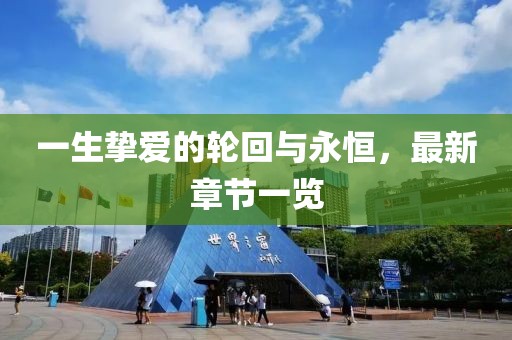 一生挚爱的轮回与永恒，最新章节一览