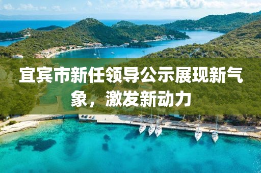 宜宾市新任领导公示展现新气象，激发新动力