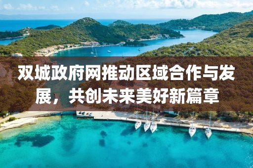双城政府网推动区域合作与发展，共创未来美好新篇章