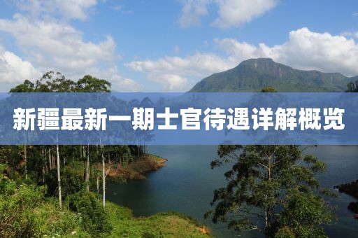 新疆最新一期士官待遇详解概览