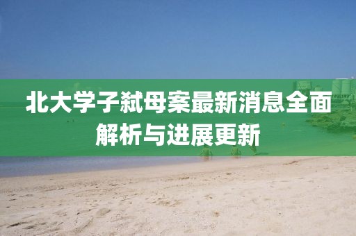 北大学子弑母案最新消息全面解析与进展更新