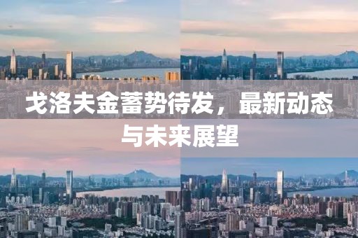 戈洛夫金蓄势待发，最新动态与未来展望