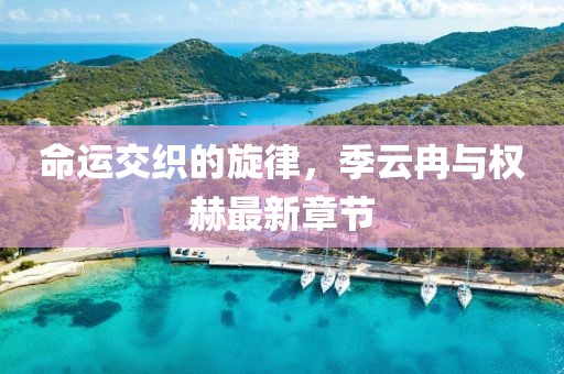 命运交织的旋律，季云冉与权赫最新章节