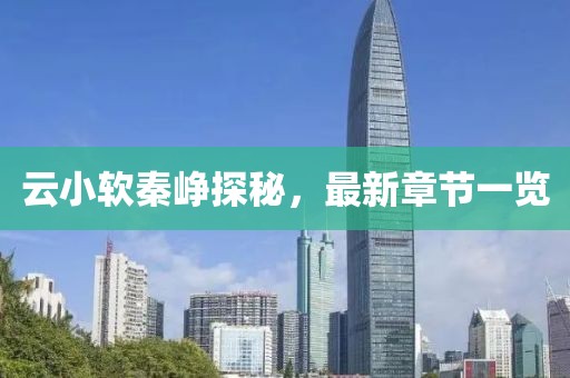 云小软秦峥探秘，最新章节一览