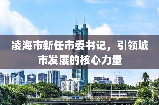 凌海市新任市委书记，引领城市发展的核心力量