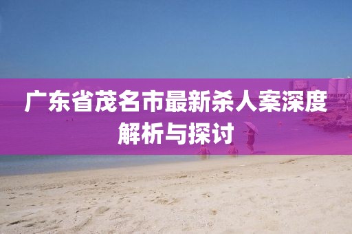 广东省茂名市最新杀人案深度解析与探讨