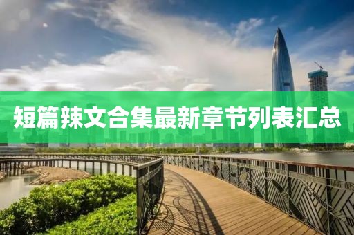 短篇辣文合集最新章节列表汇总