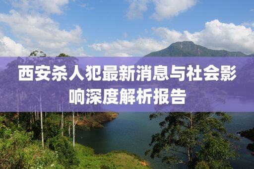 西安杀人犯最新消息与社会影响深度解析报告