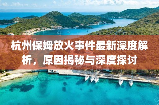 杭州保姆放火事件最新深度解析，原因揭秘与深度探讨