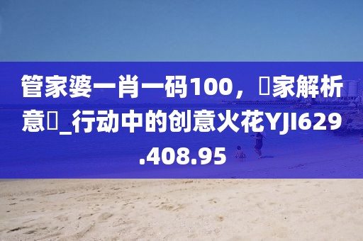 管家婆一肖一码100，專家解析意見_行动中的创意火花YJI629.408.95