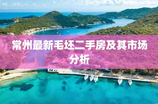 常州最新毛坯二手房及其市场分析