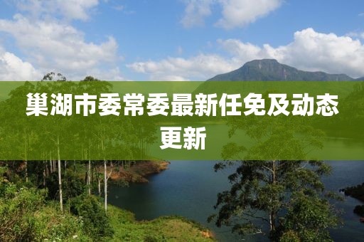 巢湖市委常委最新任免及动态更新