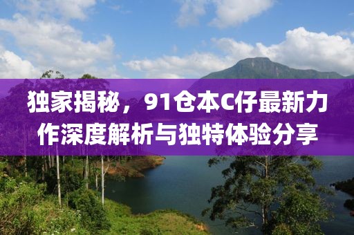 独家揭秘，91仓本C仔最新力作深度解析与独特体验分享