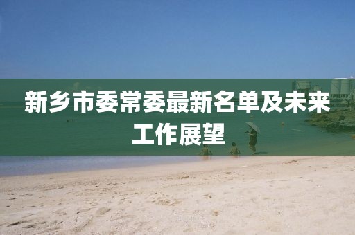 新乡市委常委最新名单及未来工作展望