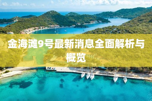 金海滩9号最新消息全面解析与概览