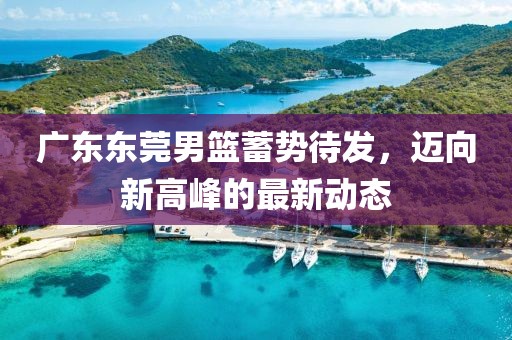 广东东莞男篮蓄势待发，迈向新高峰的最新动态