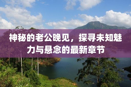 神秘的老公晚见，探寻未知魅力与悬念的最新章节