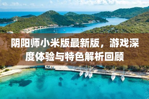 阴阳师小米版最新版，游戏深度体验与特色解析回顾