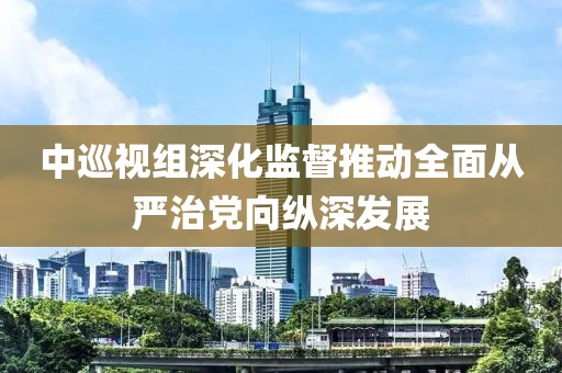 中巡视组深化监督推动全面从严治党向纵深发展