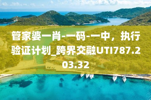 管家婆一肖-一码-一中，执行验证计划_跨界交融UTI787.203.32