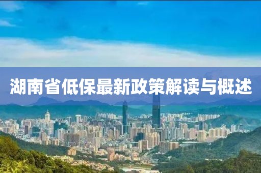 湖南省低保最新政策解读与概述