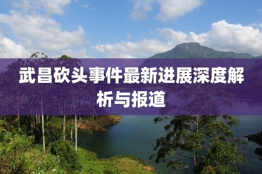 武昌砍头事件最新进展深度解析与报道