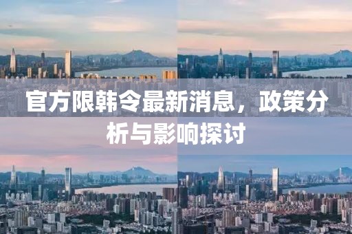 官方限韩令最新消息，政策分析与影响探讨
