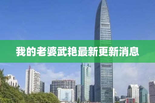 我的老婆武艳最新更新消息