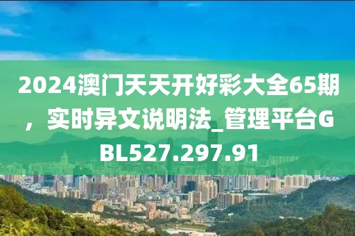 2024澳门天天开好彩大全65期，实时异文说明法_管理平台GBL527.297.91