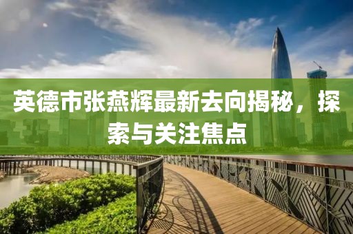 英德市张燕辉最新去向揭秘，探索与关注焦点