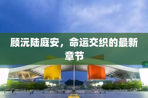 顾沅陆庭安，命运交织的最新章节