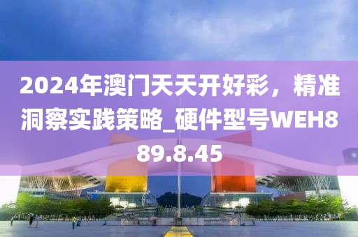 2024年澳门天天开好彩，精准洞察实践策略_硬件型号WEH889.8.45