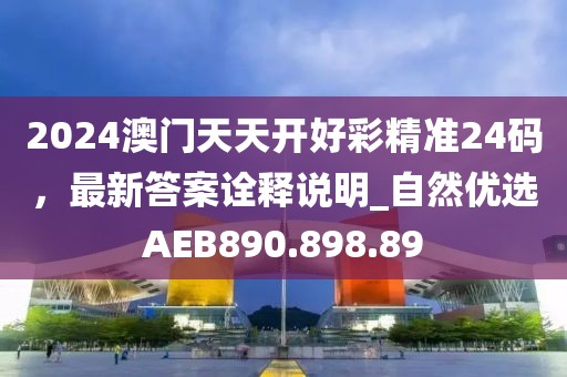 2024年11月 第19页