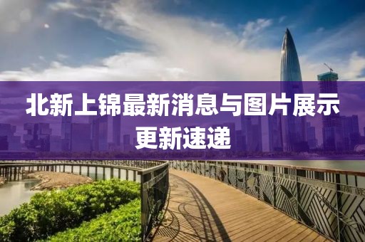 北新上锦最新消息与图片展示更新速递