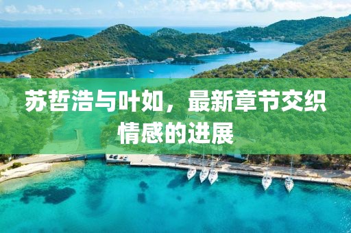 苏哲浩与叶如，最新章节交织情感的进展