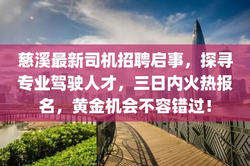 慈溪最新司机招聘启事，探寻专业驾驶人才，三日内火热报名，黄金机会不容错过！