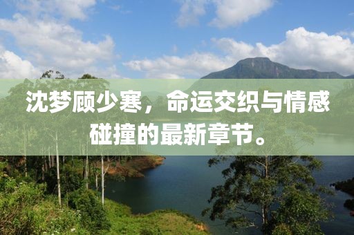 沈梦顾少寒，命运交织与情感碰撞的最新章节。