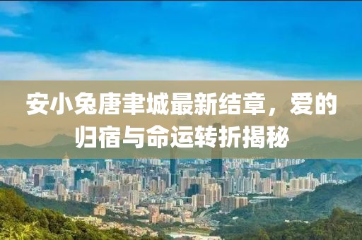 安小兔唐聿城最新结章，爱的归宿与命运转折揭秘