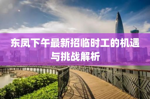 东凤下午最新招临时工的机遇与挑战解析