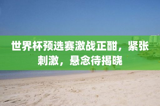 世界杯预选赛激战正酣，紧张刺激，悬念待揭晓