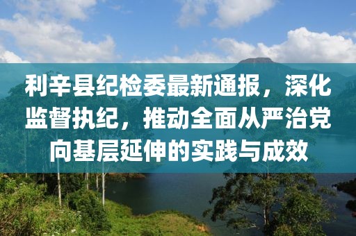 利辛县纪检委最新通报，深化监督执纪，推动全面从严治党向基层延伸的实践与成效