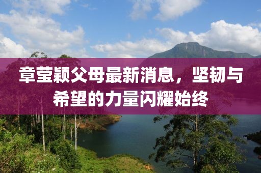章莹颖父母最新消息，坚韧与希望的力量闪耀始终