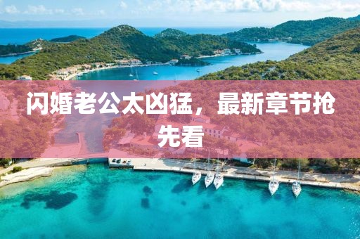 闪婚老公太凶猛，最新章节抢先看