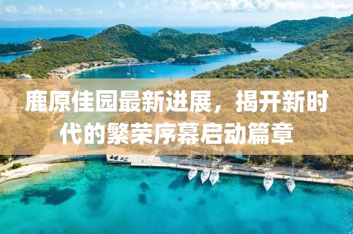 鹿原佳园最新进展，揭开新时代的繁荣序幕启动篇章